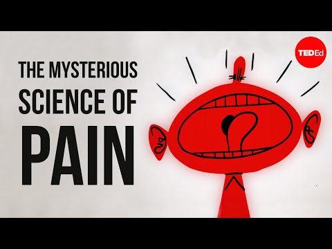 How Our Pain Mechanism Works