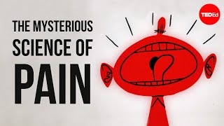 The mysterious science of pain - Joshua W. Pate