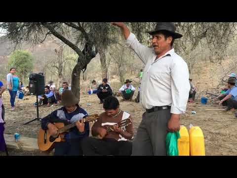 CHARANGUEADITA siway sambitay  los comunarios de MOJON en la Sub Central Chingurí