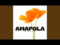 Amapola