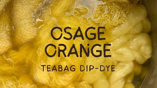 How to Hand Dye Osage Orange Yarn on Mohair and 4ply Merino Wool