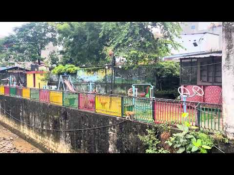 butwal ko jatil samasya 