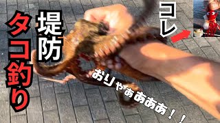 堤防タコ釣り【タコジグで釣るコツ】
