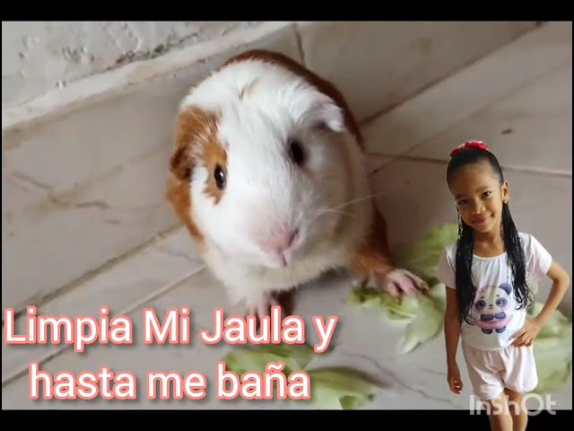 Video 1