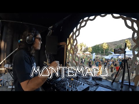 Sharmatix Live @ Montemapu Festival 2024