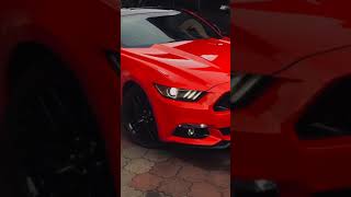 ford Mustang GT 🔥  Mustang modified status 🔥