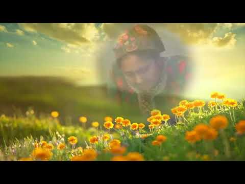 Babajan Berdiýew - Garaşýan ( Tagtabazar toý)