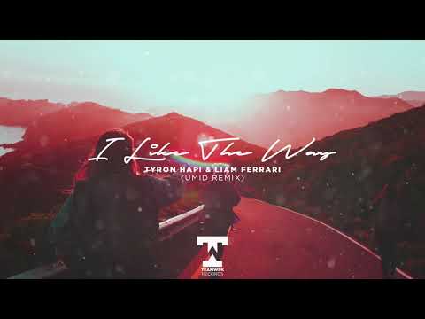Tyron Hapi & Liam Ferrari - I Like The Way (UMID Remix)