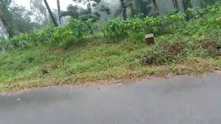 preview picture of video 'Heavy rain in kundalli village , somwarpet taluk,kodagu 571236'