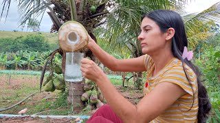 Brazilian Cleide harvests coconuts for traditional