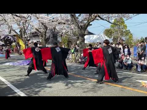 花鳥風天 20220410 PM