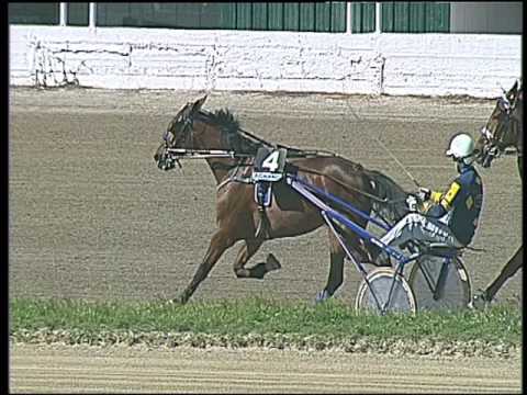 Trotto 20/05/2016 - 4° corsa