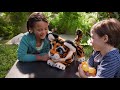 FurReal Deutschland Tyler Der Königstiger TV Spot 2017