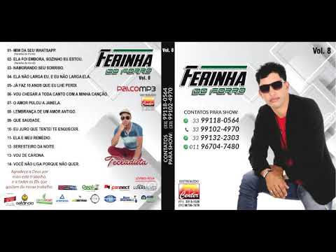 Ferinha do forró vol 8 - ela foi embora
