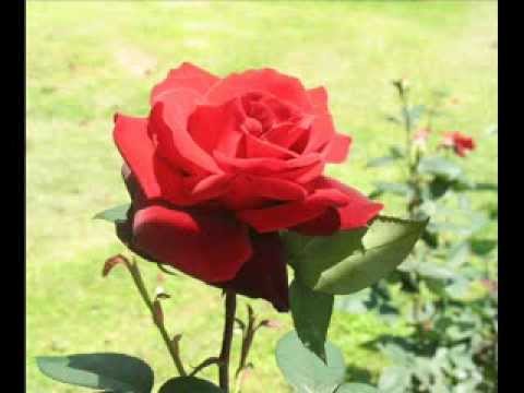 Vu toj črnoj gori 1969. TSTD Bedekovčina