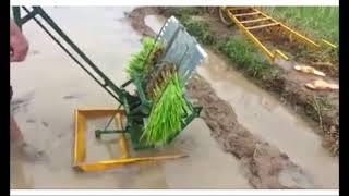 Rice Planting Machine