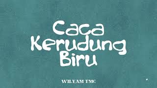 Download lagu WAYASE - CACA KERUDUNG BIRU BY WILYAM TMC mp3