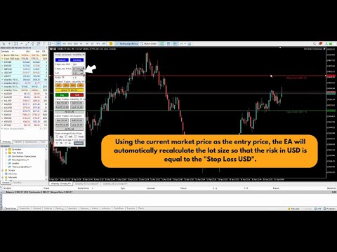 Video Trade Assistant Panel MT5