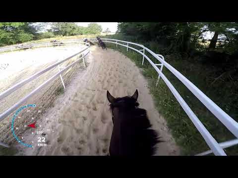 Coco à l'obstacle 28-06-2019