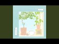 i killed my plant by Peppina