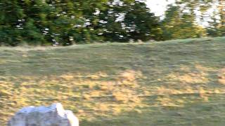 Avebury Henge, Wiltshire, UK