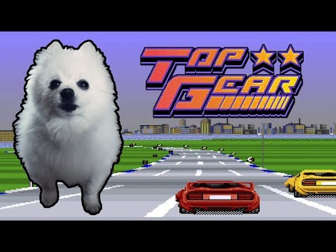 TOP GEAR em CACHORRÊS