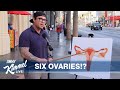 What Do You Know About the Female Body?
