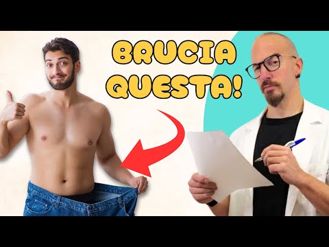 How to Lose Belly Fat (What Science Says)