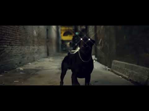 OttyWeed - Coleira Pique De Cão (prod.nv)