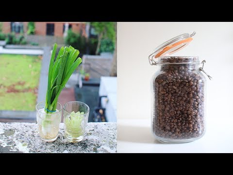 MY ZERO WASTE KITCHEN // realistic kitchen tour