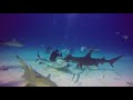 Great Hammerhead vs Tiger Shark