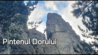 Pintenul Dorului