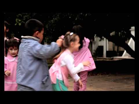 Animapaka: videoclip del oso polar