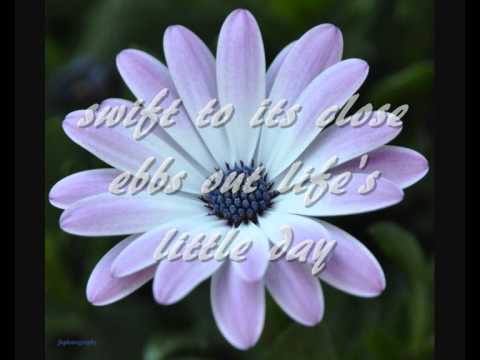 Video thumbnail for Abide With Me