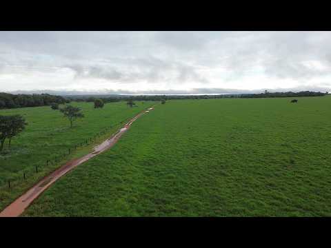 FAZENDA A VENDA EM SANTA FÉ DE GOIÁS-GO - 764 HECTARES