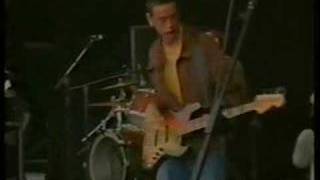 Salad - on a leash live