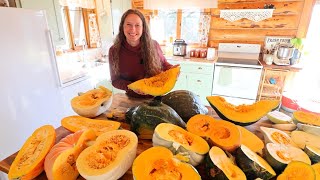 I Taste-Tested 19 Squash & Pumpkin Varieties — Here’s What I’ll Grow Again!