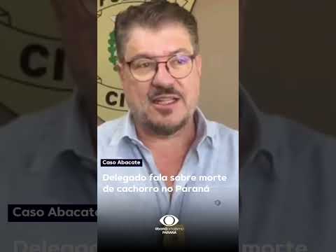 Caso Abacate, cachorro morto em Toledo no Paraná
