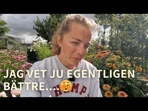 Skala ner | 5 misstag jag har gjort i trädgården i år 🫣