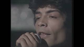 Los Chunguitos - Paloma que pierde el vuelo -