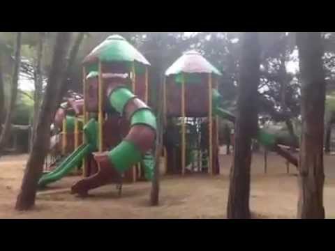 Union Lido, Gioco in pineta