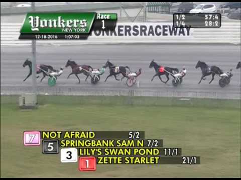 18/12/16, Yonkers - 1ère course - 2.011m - 56.000 $