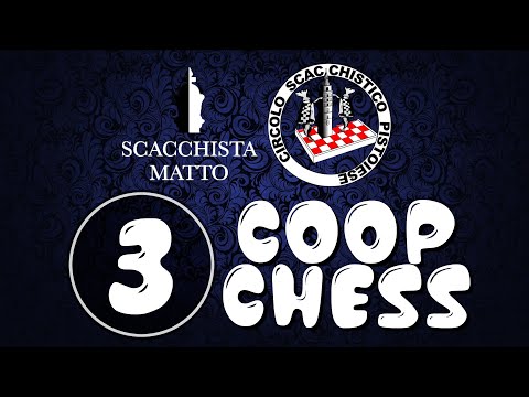 COOP CHESS 3 - LOTTA ALL'ULTIMO PEDONE - SCACCHISTAMATTO E DAVIDDOL su LICHESS