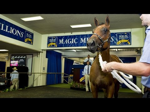 2015 Perth Yearling Sale Day 1