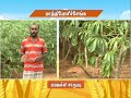 Pon Vilaiyum Bhoomi 04 01 2021 Successful Farmer Story