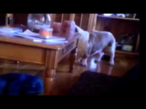 Barney's  morning conversation