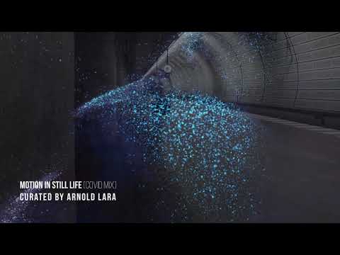 Motion In Still Life DJ Set - (Gerd Janson, Palms Trax, Eagles & Butterflies, Underworld, and BT)