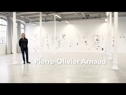 Présentation du DNA Art par le coordinateur Pierre-Olivier Arnaud