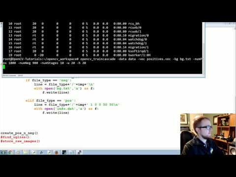 Training Haar cascade object detection OpenCV with Python for Image and Video Analysis 20