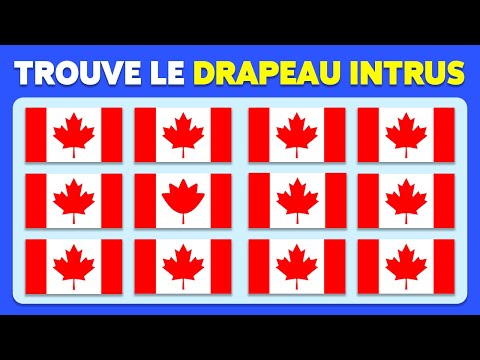 Trouve le Drapeau Différent | Apprends les Drapeaux des Pays du Monde | Facile à Impossible